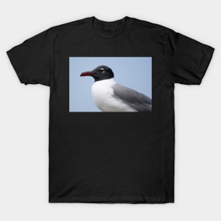 seagull T-Shirt